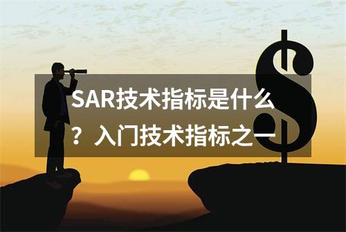 SAR技术指标是什么？入门技术指标之一