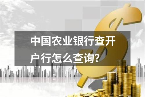 中国农业银行查开户行怎么查询？