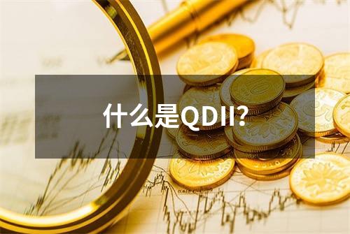 什么是QDII？