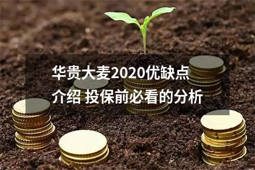 华贵大麦2020优缺点介绍 投保前必看的分析