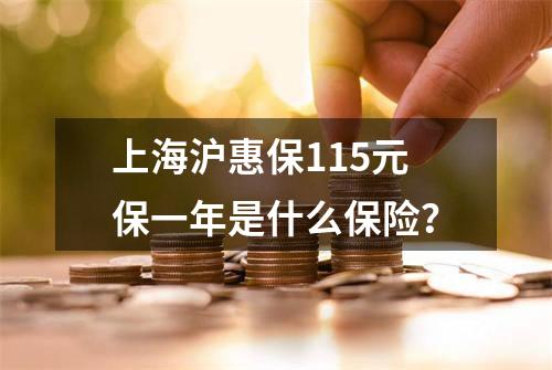 上海沪惠保115元保一年是什么保险？