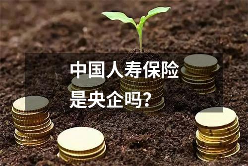 中国人寿保险是央企吗？