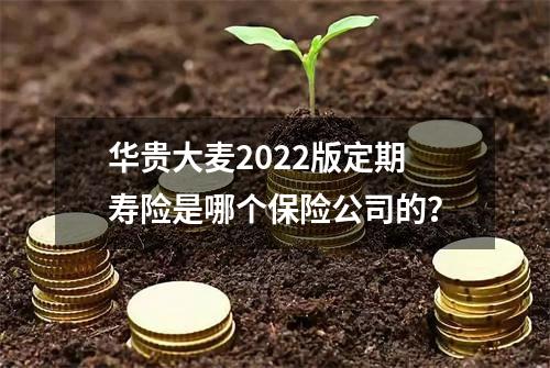 华贵大麦2022版定期寿险是哪个保险公司的？