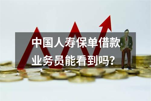 中国人寿保单借款业务员能看到吗？