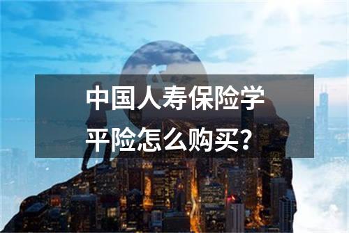 中国人寿保险学平险怎么购买？