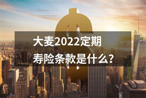 大麦2022定期寿险条款是什么？