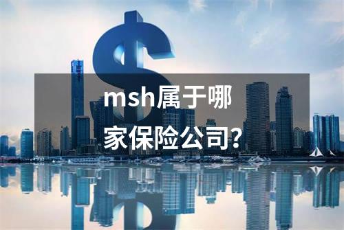 msh属于哪家保险公司？