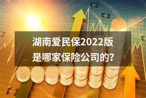 湖南爱民保2022版是哪家保险公司的？