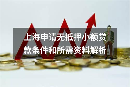 上海申请无抵押小额贷款条件和所需资料解析