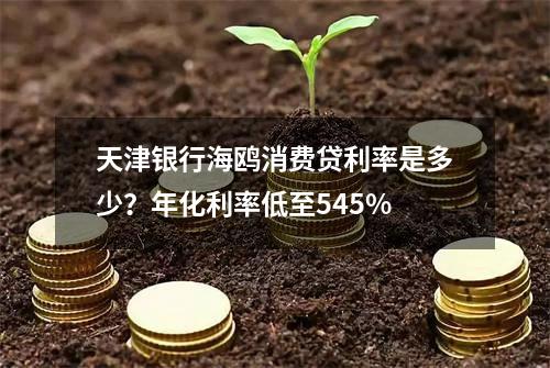 天津银行海鸥消费贷利率是多少？年化利率低至5.45%