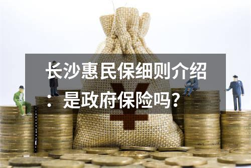 长沙惠民保细则介绍：是政府保险吗？