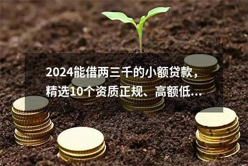2024能借两三千的小额贷款，精选10个资质正规、高额低息、下款快的平台